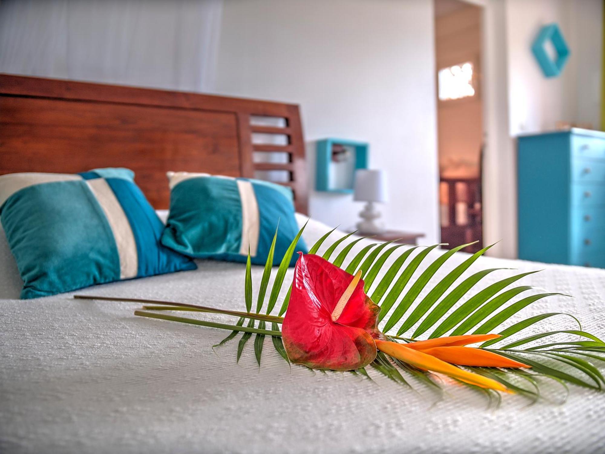 サンタンヌHabitation Bellevueアパートメント 部屋 写真